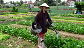 image-42